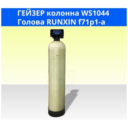 Гейзер Установка WS1044/Runxin F71P для обезжелезивания воды с автоматической промывкой по таймеру
